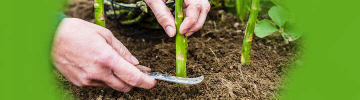 gartenmesser kategorieeinstiegsbanner